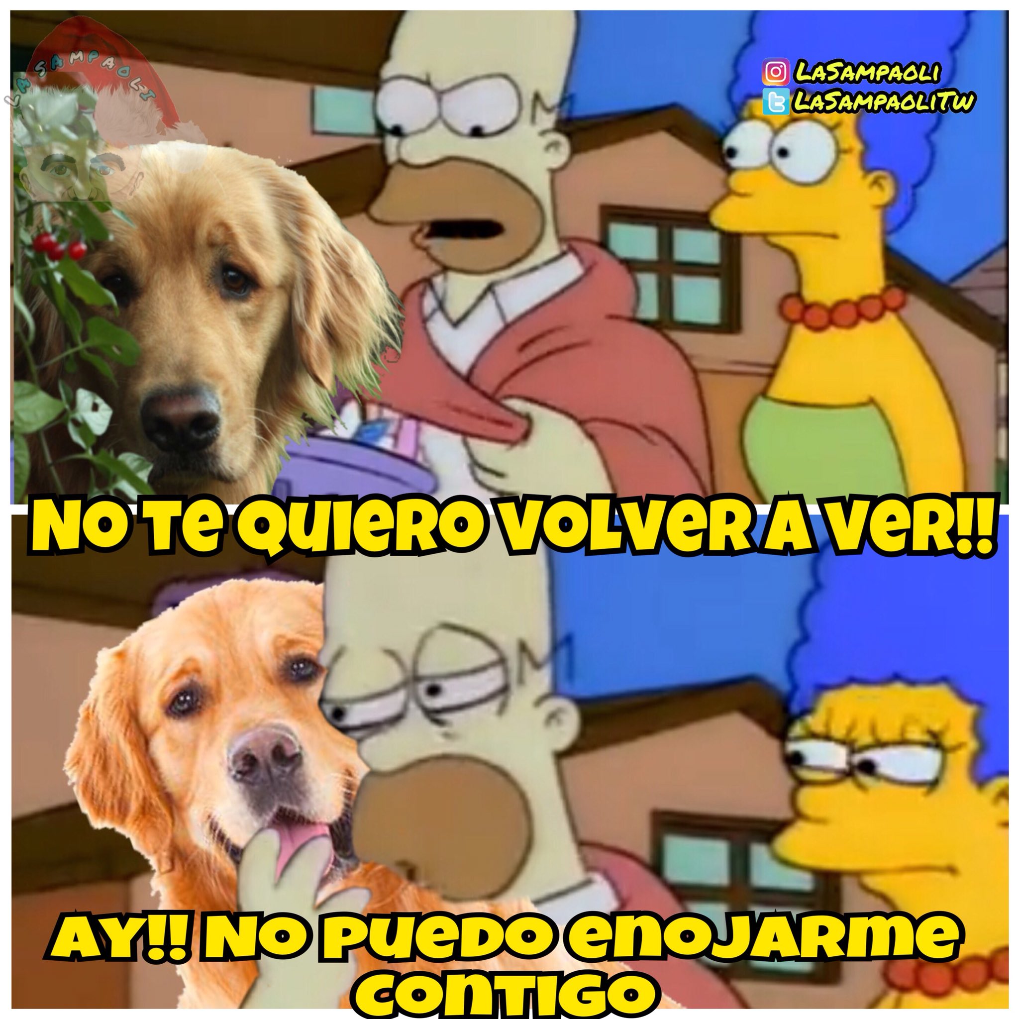 Sampa On Twitter Goldenretriever Perros Perro Golden Memeperruno Homeroenojado Simpsonianos Memesimpson Meme Memes
