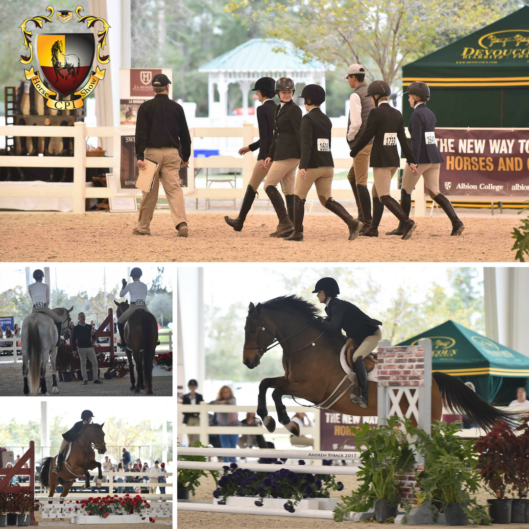 CPIHorseShow's tweet photo. Today's #fridayfavorite is focused on #hireacoach at #cpiflorida. As a competitor you must be accompanied by a coach. Details, visit: https://t.co/xGeJDi5QqA
#cpihorseshow #rideCPI #rideIHSA #practicemakesperfect #equestrian #goals #equine #studies
pc: #andrewrybackphotography https://t.co/yadfunmAtU