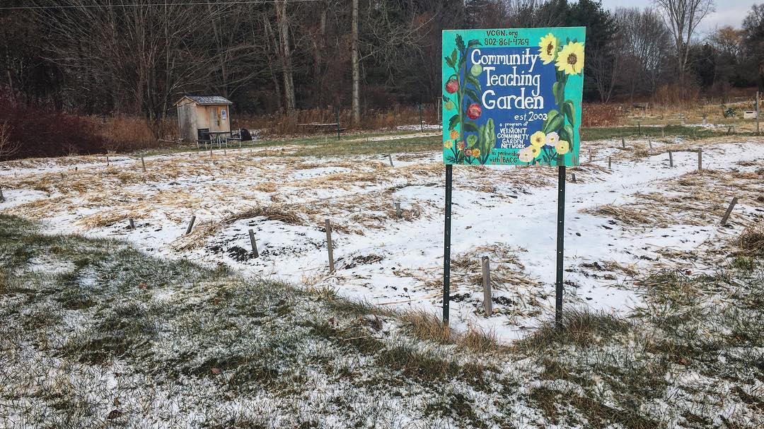VTGardenNetwork's tweet photo. As the gardens slumber under a blanket of snow, we are grateful for the outpouring of support! Thank you for helping grow more food &amp; community in 2018. There's still time for a year-end gift: https://t.co/rPpeNNV7xq #GrowingTogetherVT #GardensForAll #FoodJustice #SpringDreams https://t.co/zMOfbBj1d6