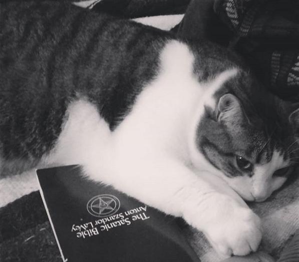 2CatBastard's tweet image. @ChurchofSatan :)