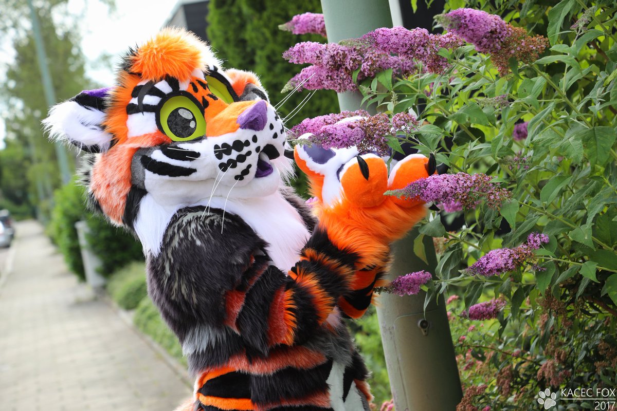 BassBeast90's tweet photo. Big Flashback for the last #FursuitFriday
Get my suit, first con #EAST7 and Party at #BFD6
Big Thanks to everyone i meet.
See you next Year๐ https://t.co/4vWhMfyZLs