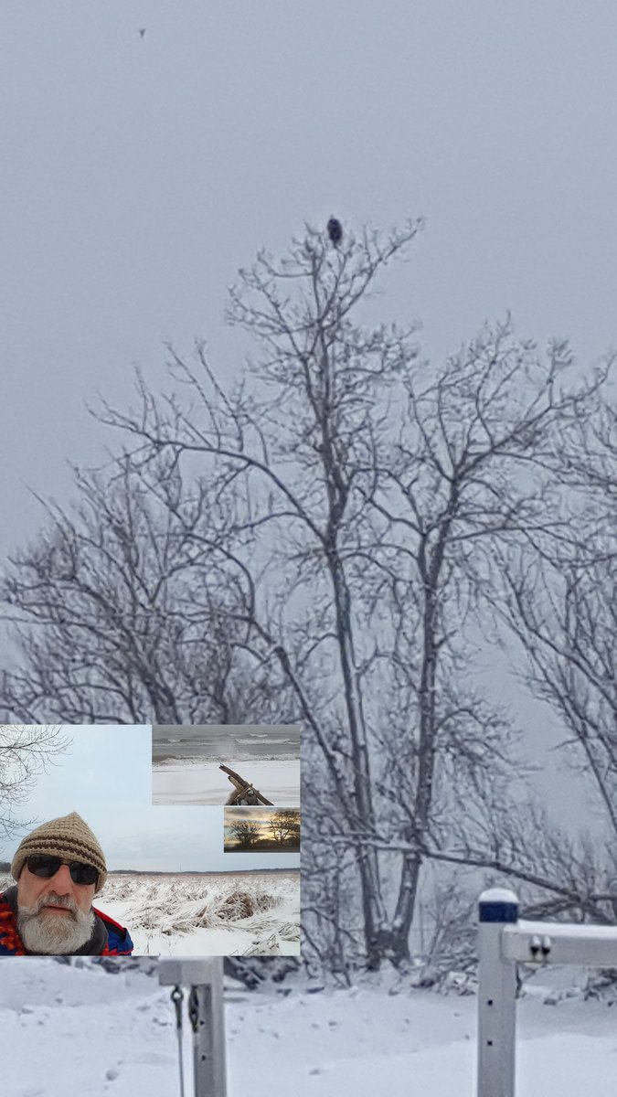 RareCat's tweet photo. May you always be showered with the warmth of God's love and blessings. #HappyNewYear2018 #EagleSighting #RoundPondJetty #BeattieBeach #LakeOntario #ROC #FF @whec_rcaniglia @JeremyKappell @BarryVee @rochester @tpmedia @whec_SLaRocca @CynthiaBenjamn @Tavi59 @mhennessy5 @daselin 😍 https://t.co/BasMLPKk8y