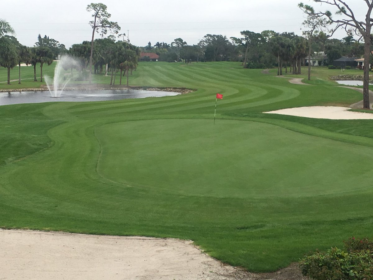 Overcast so far but stripes showing up well today.