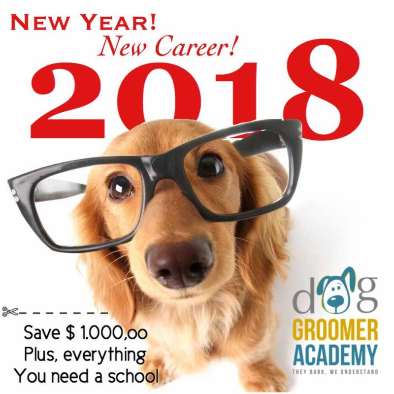 Best Dog Groomer Academy of the decade Don t miss out 