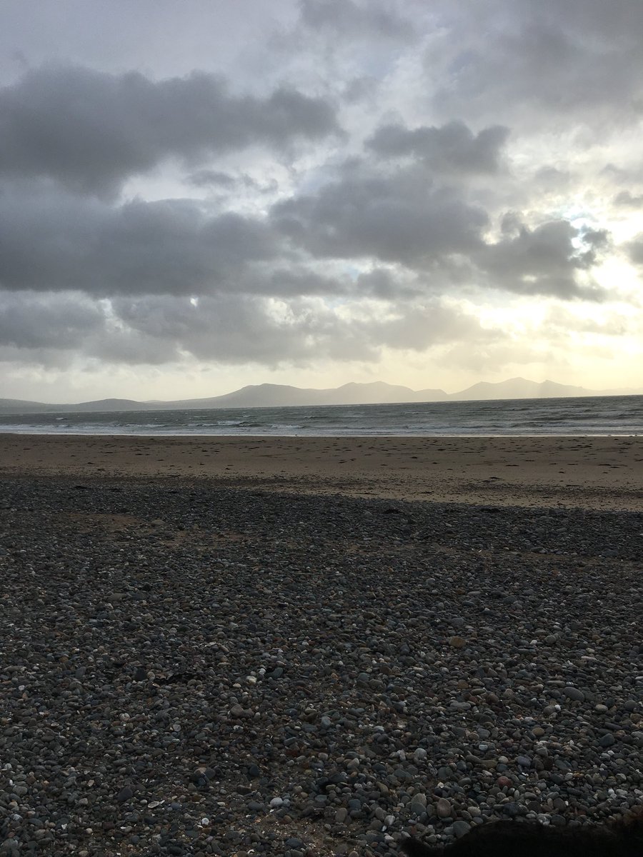 Michelle Thomas tweet media