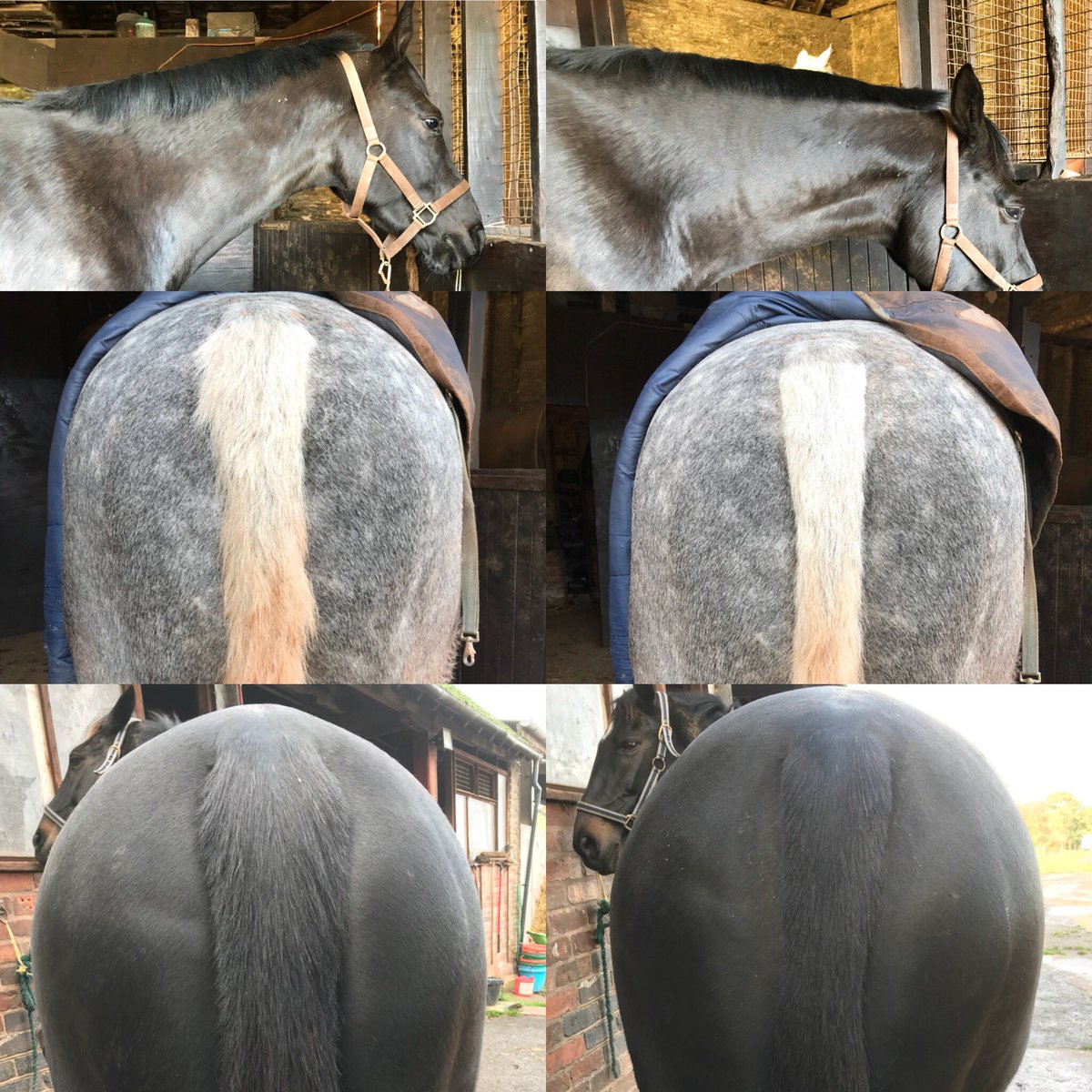 Super productive day! All trimmed ready to go! 💇🏽‍♀️💃🏻