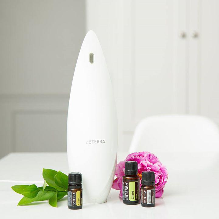 QEssential_Oils's tweet photo. How do you decide which #diffuser to get? To help make your decision easier, we’ve broken down how each diffuser works as well as recommend the one(s) to best fit your needs. https://t.co/4rUysCWhfA #aromatherapy #essentialoils #oilylife #oilobsessed #quintessentialoils https://t.co/2luWYh9GCU