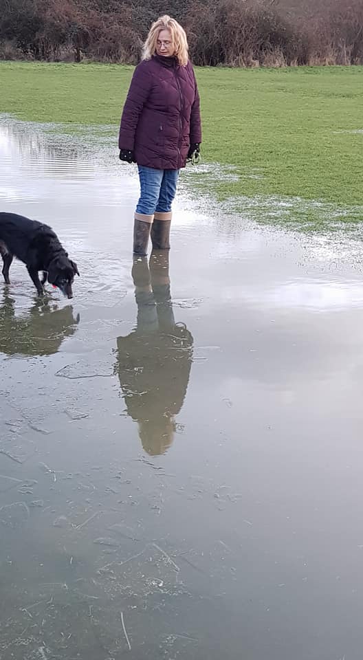 This is the start finish area at Bicester parkrun. Sorry to say we don't do tri training so tomorrow is cancelled. Please follow us for news about New Years Day. Other local parkruns may be running still