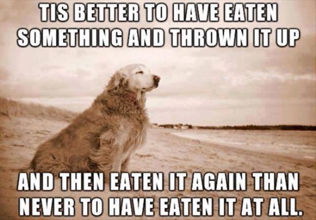 pawcurious's tweet photo. From William Shakespaw. https://t.co/WZ8Jhn0XU0