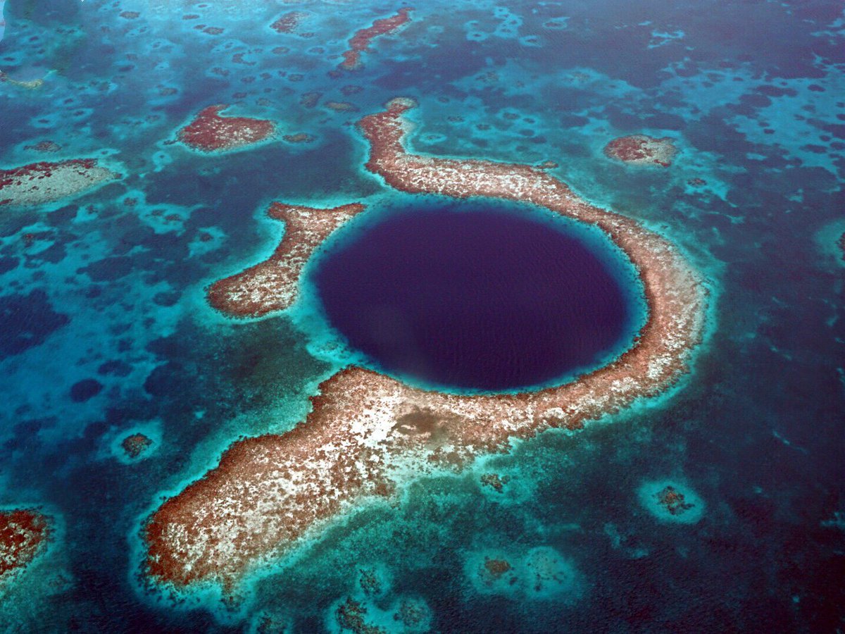 FlyMayaBelize's tweet photo. Have you visited our Great Blue Hole Tour page on https://t.co/L4N1qdmsAJ lately? If you haven't as yet, head on over and check out our NEW booking options and prices!
#mayaislandair #flymayabelize #traveling #Belize #greatbluehole https://t.co/QiwQgromyt