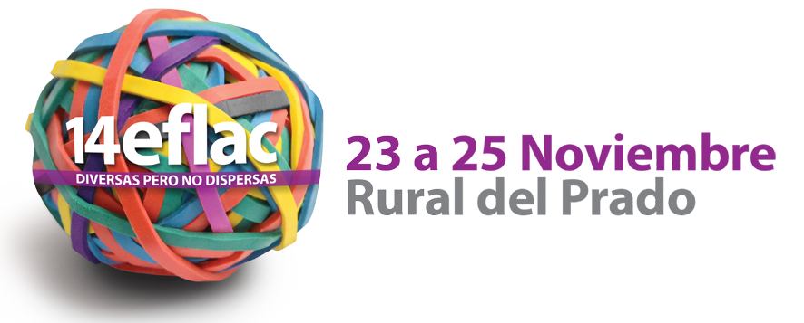 📢 | Enterate cuál fue el pronunciamiento de las mujeres con discapacidad en el <a href="/14EflacUruguay/">14 Eflac Uruguay</a>, Encuentro Feminista Latinoamericano y del Caribe donde participaron más de 2200 mujeres de toda la región.  que se realizó en noviembre  👉 14eflac.org/?page_id=1167