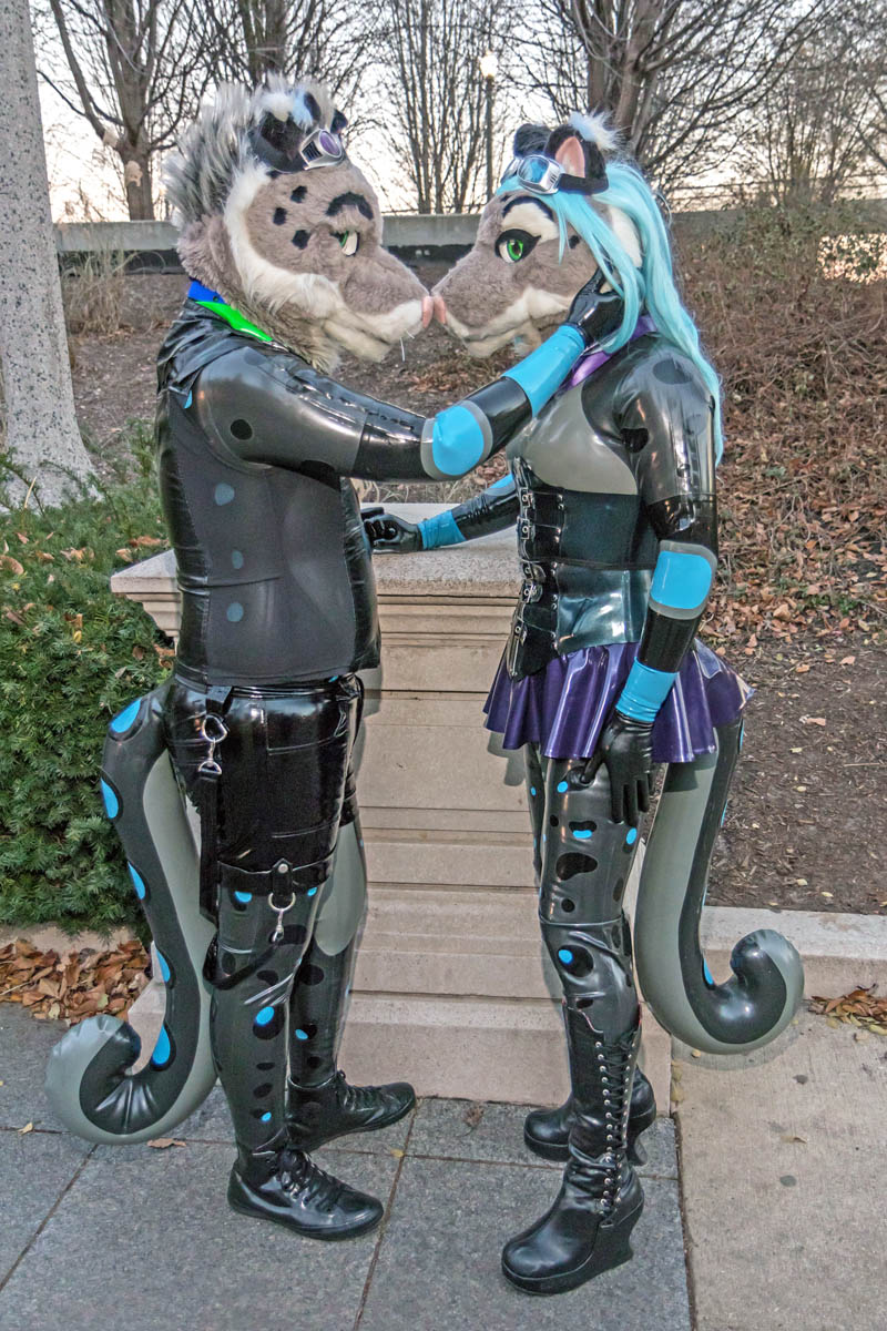 SnowSpottycats's tweet photo. For the last #FursuitFriday of 2017...
Have a pair of rubber Snow Spottykitty Kamadan & Leela, enjoying an afternoon out in downtown Chicago at Millennium Park ^_^
During #FurFest #MWFF2017
With @SnowmewSkoll
๐ธ by @archerwolf126 https://t.co/Xapymh0nWt