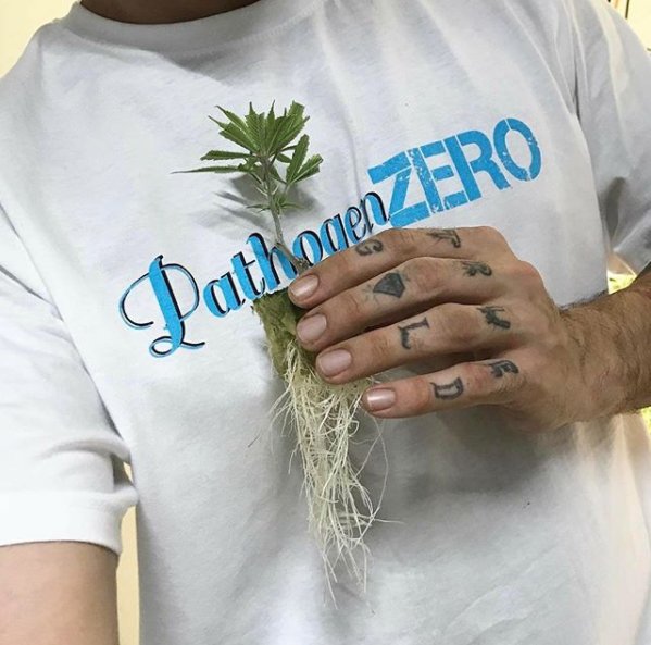 PathogenZero's tweet image. Protecting the young ones with PathogenZERO is great first step for ensuring a strong and healthy crop. A Clean Grow Room Is A Dream Grow Room.