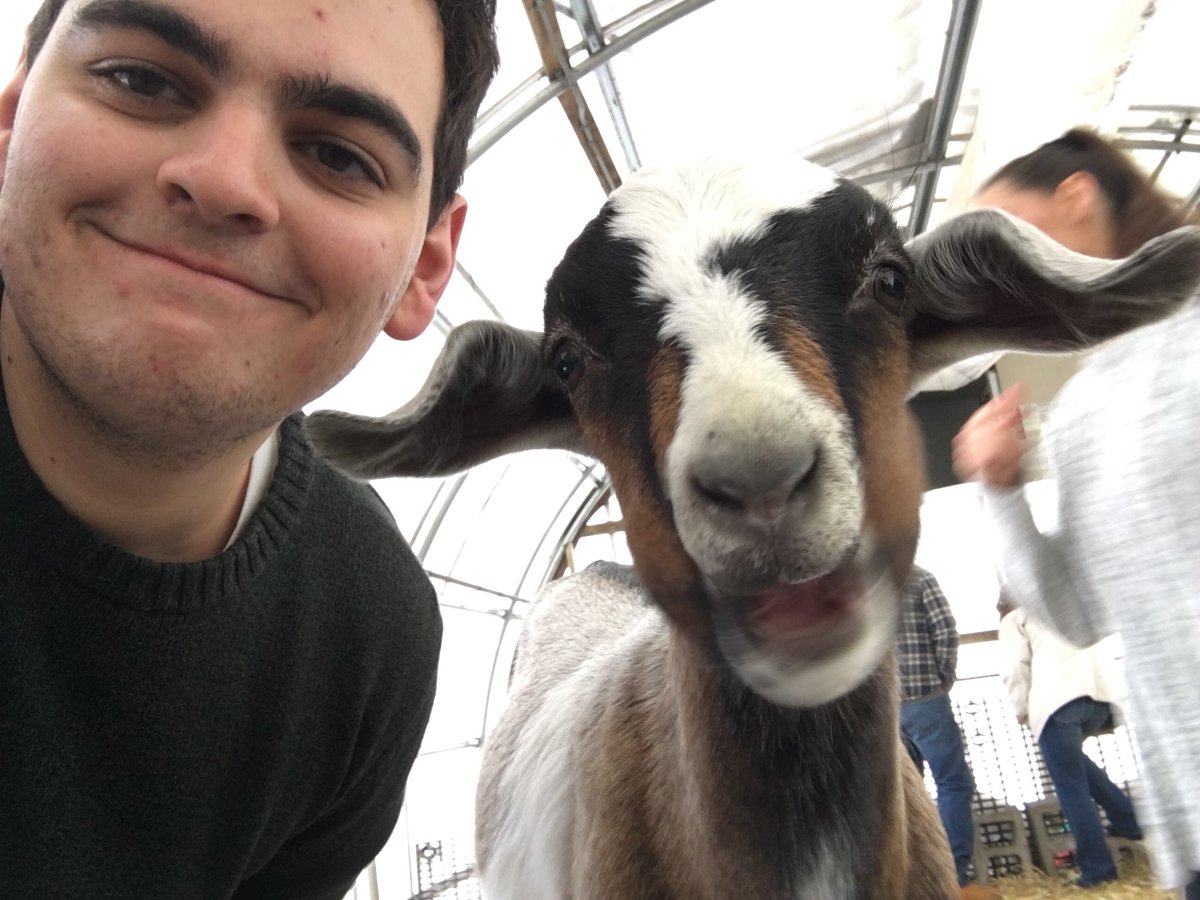 Next adventure a goat sanctuary!