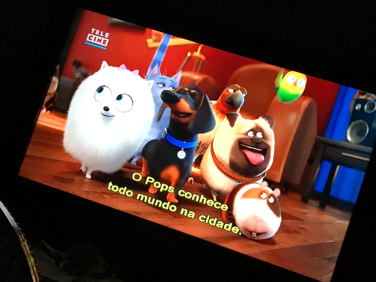 FlaTvrs's tweet photo. Eu SIMPLESMENTE AMO esse filminho ❤️❤️ #Pets #TCPremium https://t.co/DexXQA0VKp