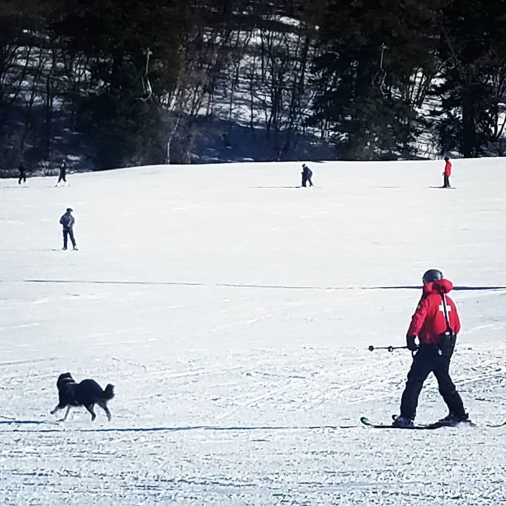 SnowbasinResort tweet picture