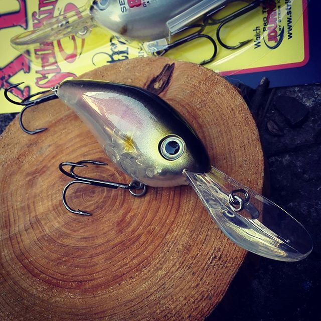 ken_d_s's tweet photo. 痒いところに手が届く、6mダイバー"8XD" #ストライクキング #strikeking #8xd #ディープクランク #10XDでは潜り過ぎるけれど #5mダイバー… https://t.co/IZYA1G7gFw https://t.co/CUuk8BpY7H