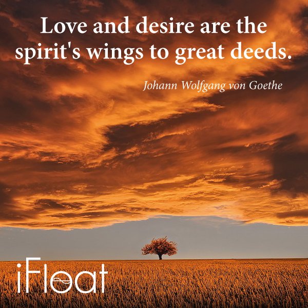 Spread your wings!
#health #floattherapy #floating #float #floatspa #relax #recovery #wellness #therapy #life #lovelife #spa #epsomsalt #zen #balance #zenfloat #healing #menshealth #womenshealth #relaxing #musclerecovery #recommended #mindfulness #sensorydeprivation