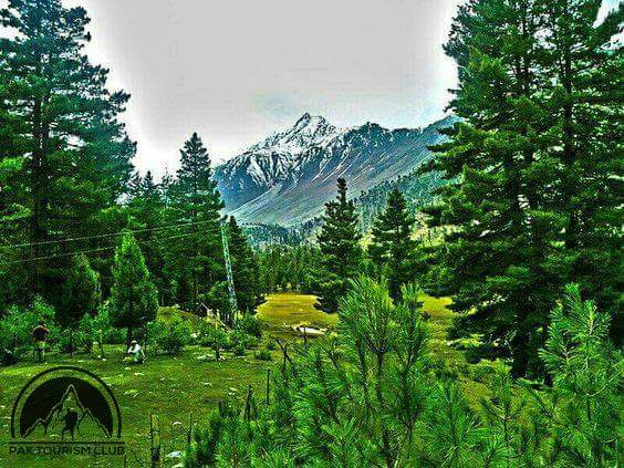 AstoreGB's tweet photo. Rama meadows #AstoreGb #GilgitBaltistan #BeautifulPakistan #exploringGb #Pakistaninpicture #Astore #Islamabad https://t.co/6w0ad8A9El