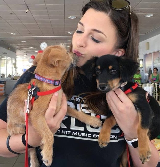 HeavenCanWaitLV's tweet photo. Open your wallet to help a local animal rescue, 
Open your home to a fur babe in need of you ❤️
Thanks for your support #HeavenCanWaitLV https://t.co/FoN2jkSRrQ