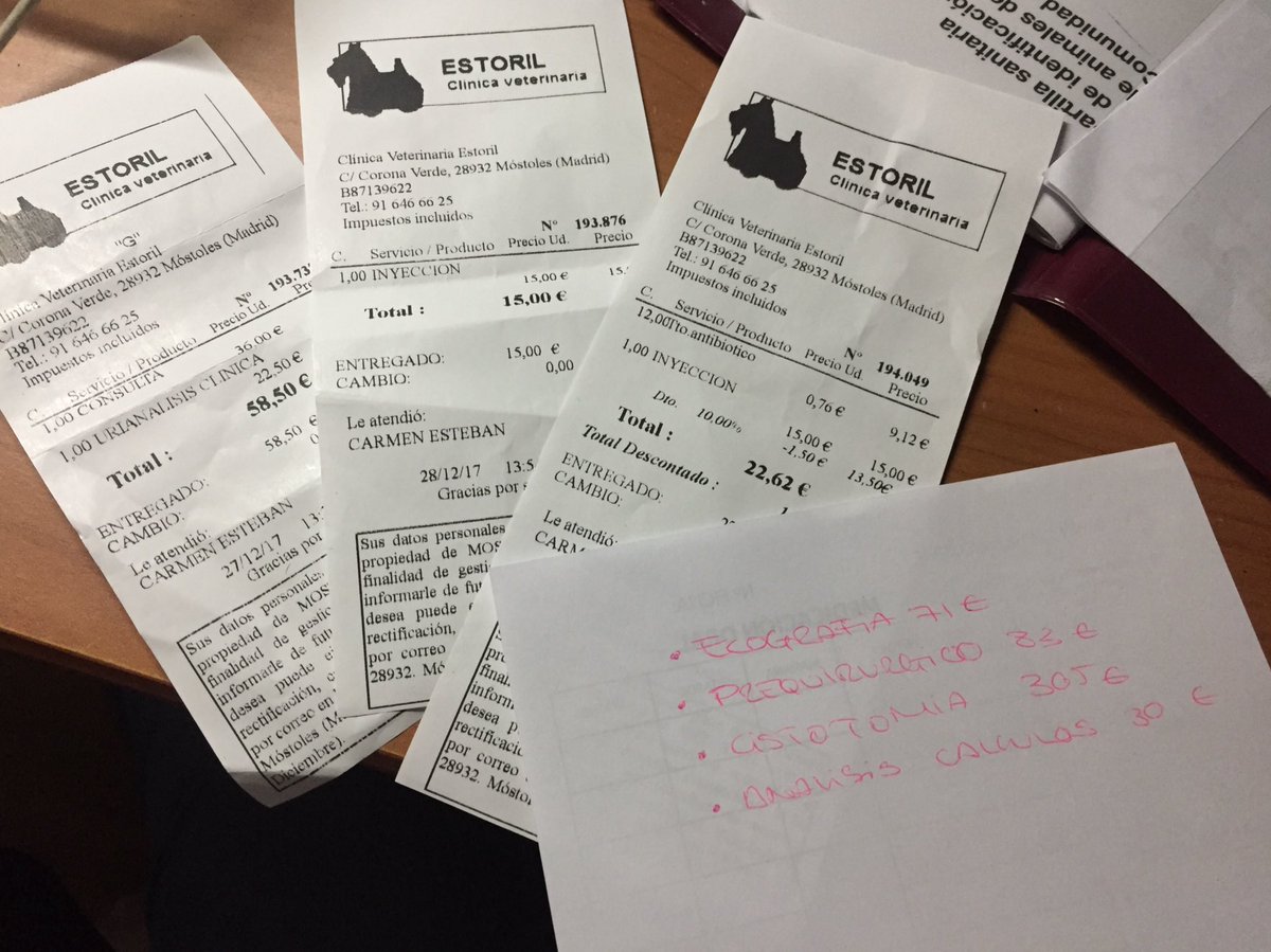 mariaftyt's tweet photo. agradeceria mucho cualquier ayuda, ya sea económica o con un simple RT para conseguir difundirlo ... muchisimas gracias 💗 https://t.co/fwUCdZBQSP