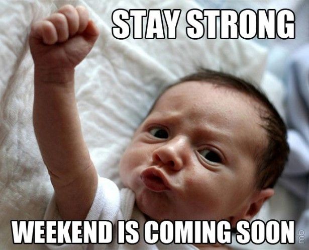 KinacleOL's tweet photo. Meme of the DAY! #funnypics #babyimages https://t.co/FgKSLpDi53