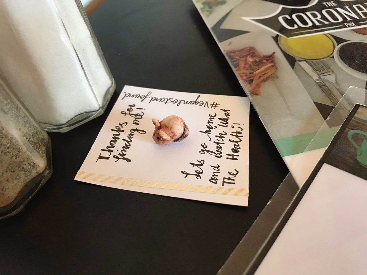 Veganlostnfound's tweet photo. Happy finding! #veganlostandfound #vegan #arizona #phoenix https://t.co/dvrXvPLq0b