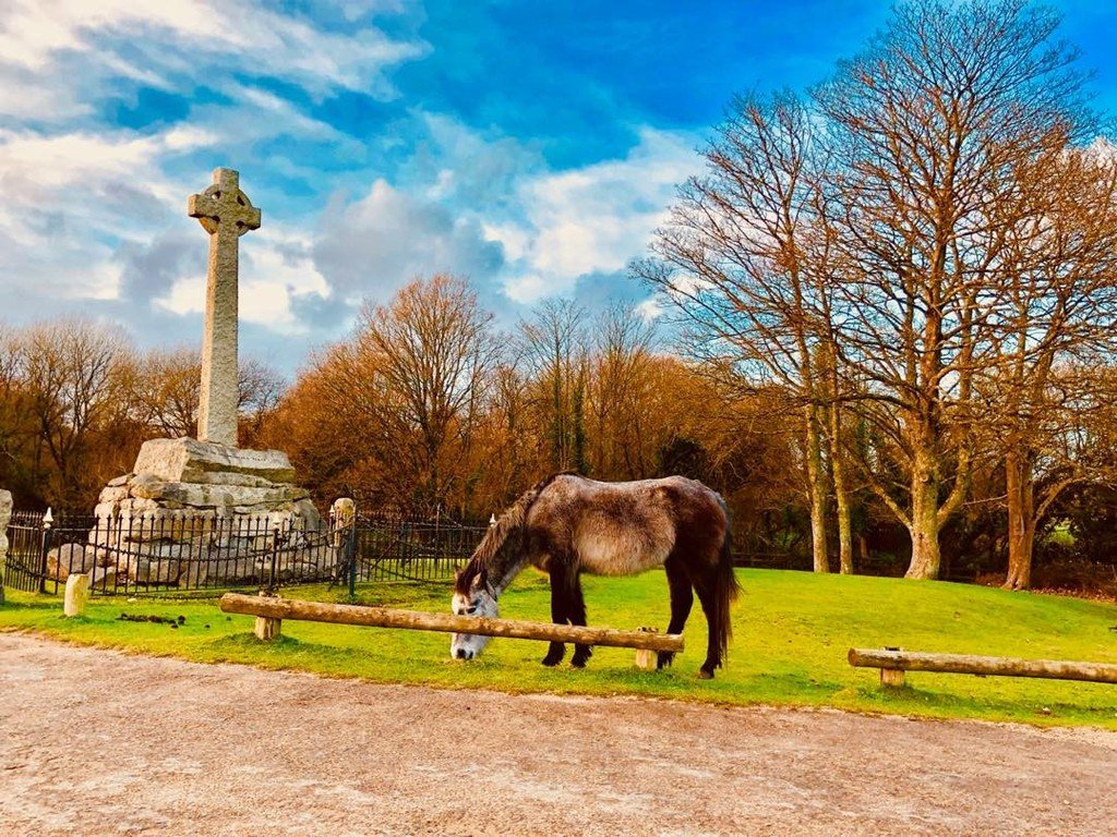 UKLondon's tweet photo. 🐎🌲🌿🍃🍂🍁
.
.
#newforest #travel #travelling #vacation #visiting #instatravel #instago #trip #photographer #tourism #tourist #instapassport #instatravelling #mytravelgram #travelgram #travelingram #igtravel #travelphotography #traveller #horse #lyndhurst #countryside #england https://t.co/0vHRWdsyNy