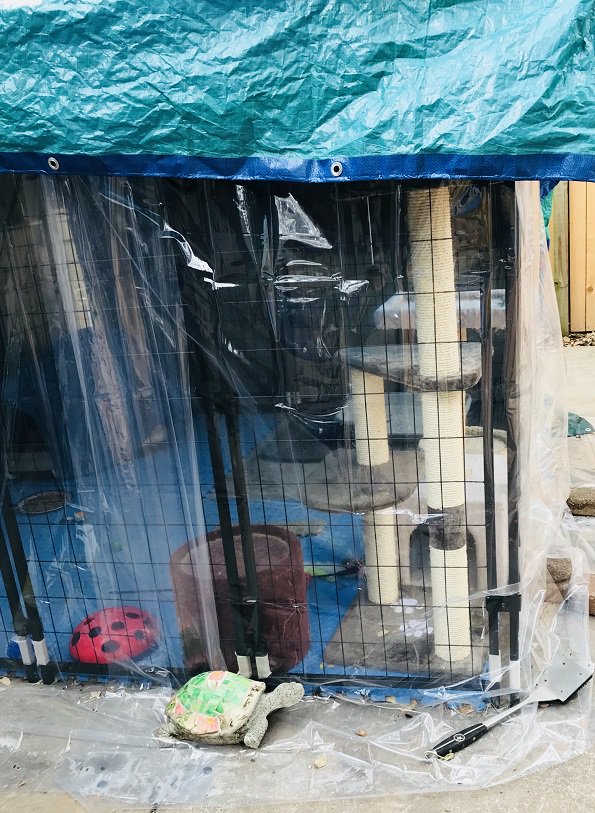 AskMrFrisky's tweet photo. AMFs prepping #ferals for 48hrs of below #freezing temps.In addition to insulated #dogloo with self-warming pads+thick blankets,put heavy tarp on #catio roof &bought 4 clear shower curtain liners to wrap around sides to block wind+insulate=create warmth https://t.co/VvCRn7mfNm