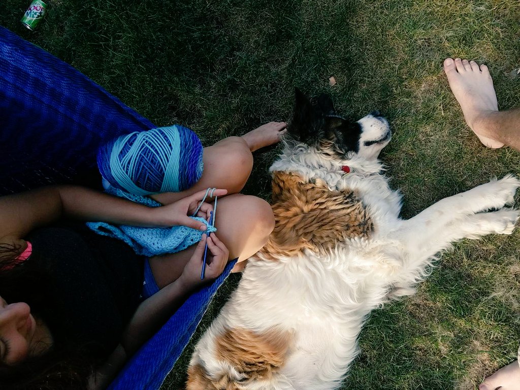 madebysyd's tweet photo. Warm weather where you at? I miss this view 🙁 #warmerweather #toocold #saintbernard https://t.co/QZFubKPo6G