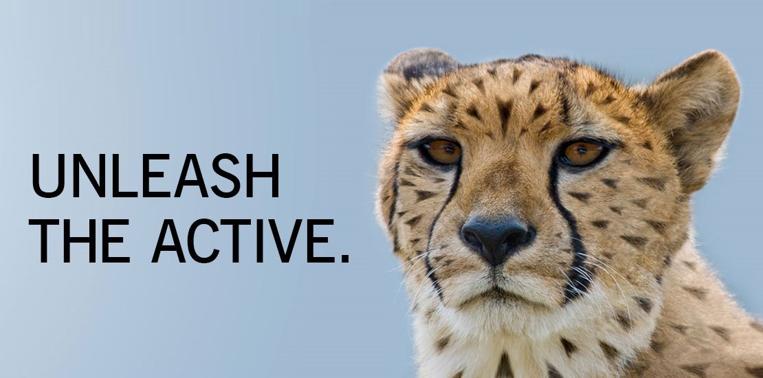 NextShares's tweet image. How many #NextShares funds are available right now? ow.ly/wxtC30gITbH