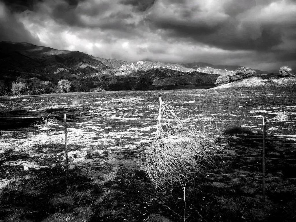 PeterAdamsPhoto's tweet photo. Tumbleweed. #ojai #tinyformat :: Brush caught on a barbed wire fence in the #ojaivalley after #thomasfire :: The white powder on the ground and hills is ash left over from the fire.
:: #tf https://t.co/wUd79KdH8h https://t.co/t8oGqO2Auv