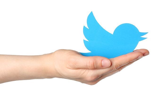 CreativeImpact tweet picture