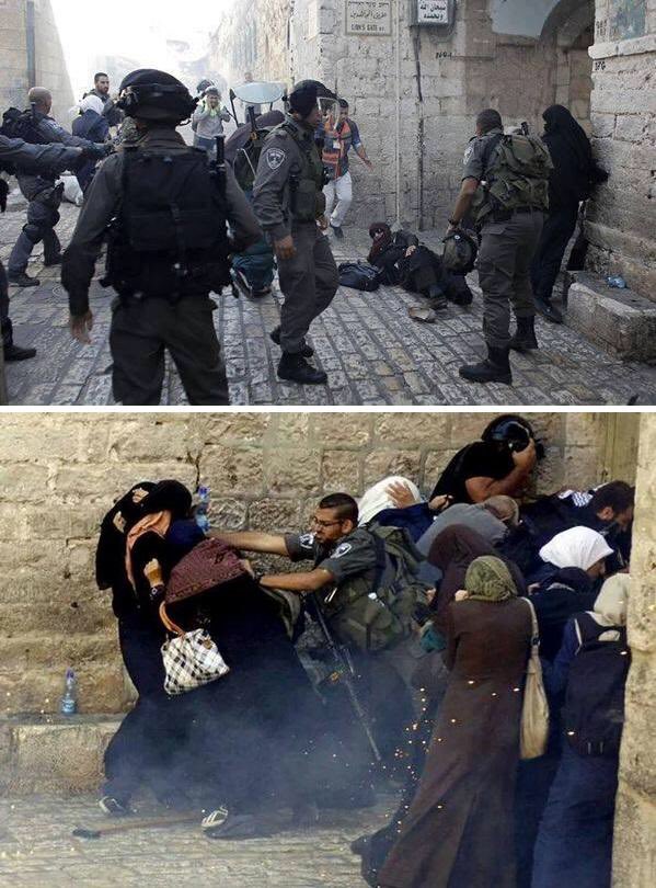 Thejurisman's tweet image. عن أي أمجاد وعز تتحدثون وحرائر فلسطين تهان

#اسراء_جعابيص
#معركة_الفرقان 
#قروب_احرار_فلسطين