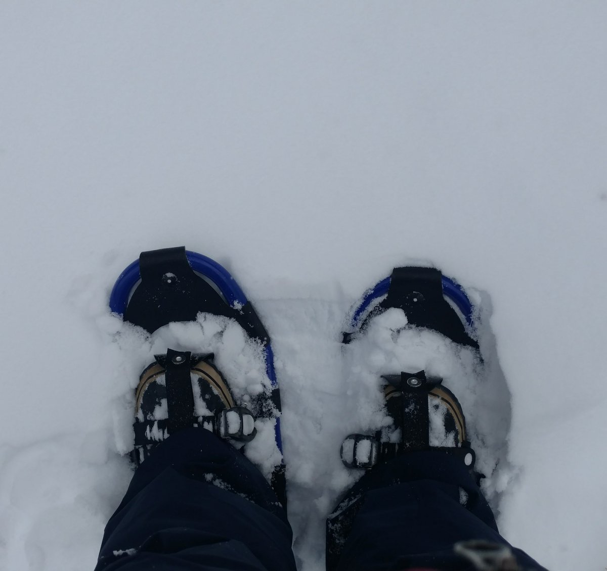 cmleider's tweet photo. Changing it up from skiing and went for a hike. #Brrr #AdventureProfessor #ILoveVermont #winter https://t.co/nMWtzzEson