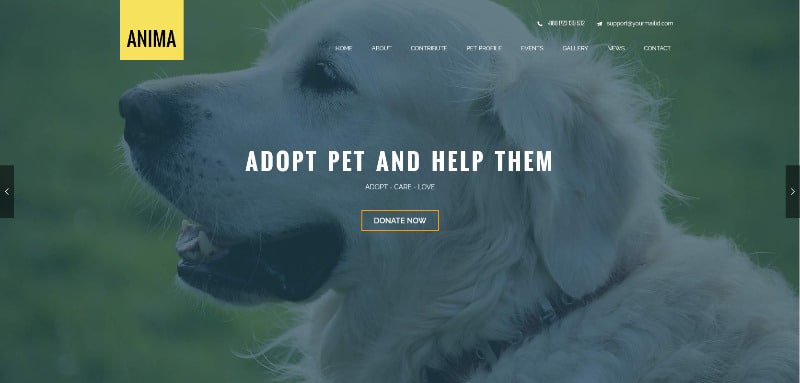 themeitwp's tweet image. New WordPress Theme (Anima) has been reviewed on Theme It - themeit.com/anima/ #Visual_Composer #WordPress_Themes