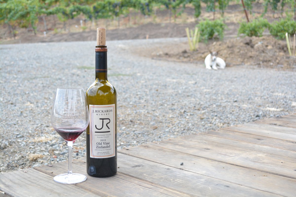 TheWineRoad's tweet photo. Sonoma County Wineries: A Beginner’s Guide https://t.co/He29q85uSG via @burghbrides #wineroad #visitwineroad #travel https://t.co/BMgcdK4AZi