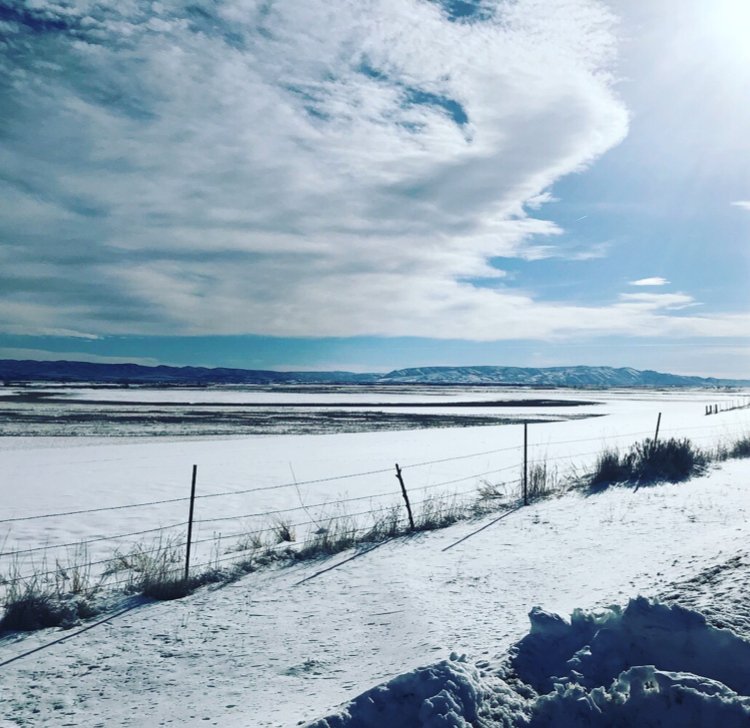 ToddKunzTV's tweet photo. A different route and 4.33 miles out of area today. Fantastic weather, but I over-dressed. 40 degrees and climbing at 10am. #justrun #loveitliveit #running #runnershigh #runner #asics #underarmour #mapmyrun #basicrunning @ASICSamerica @UnderArmour https://t.co/9v93W7TYIJ