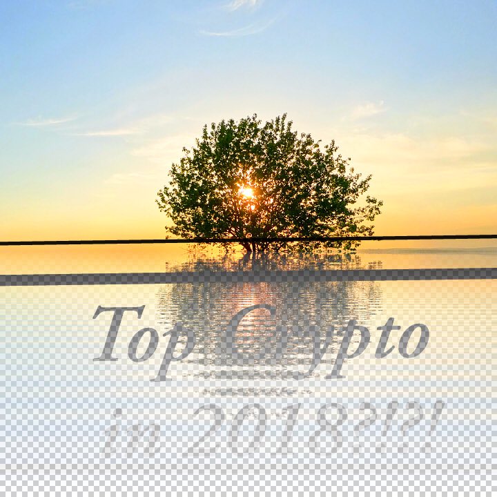 Altcoinbuzzio's tweet image. Share your Top Cryptocurrency for 2018 in the comments....