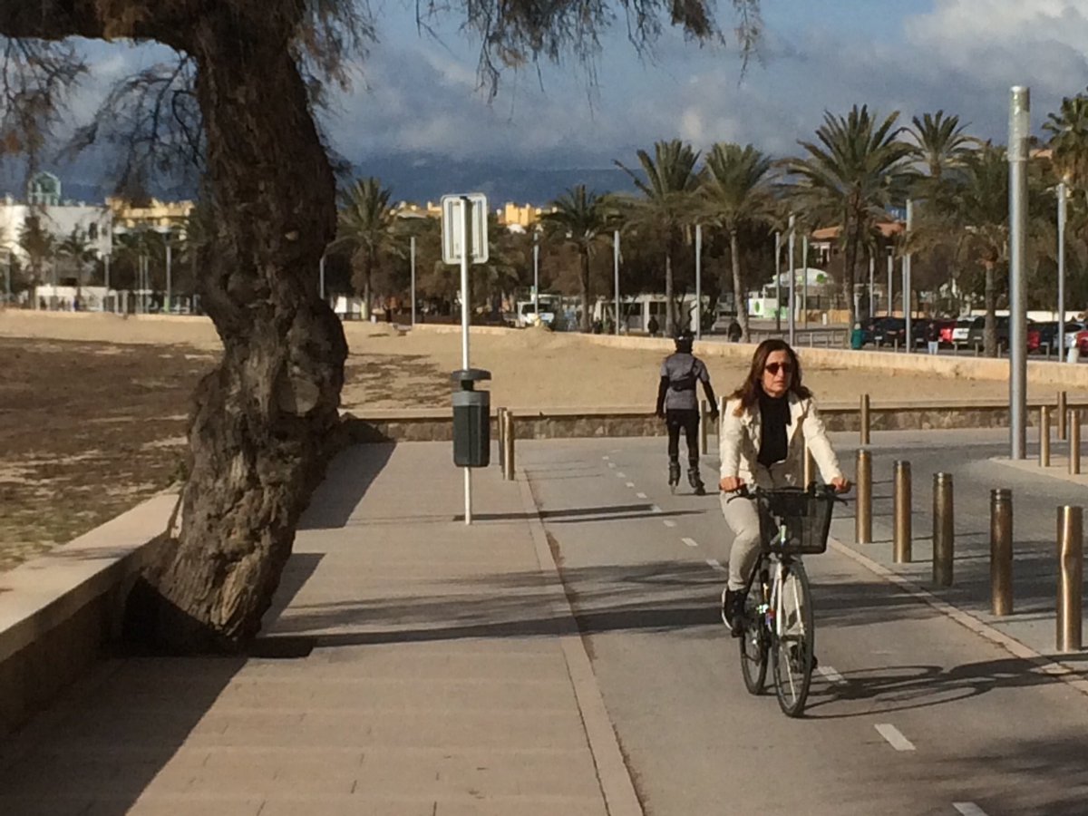mallorcantonic's tweet photo. Grab a bike and off you go..#bayofpalma here we come... https://t.co/kYXUyReigo