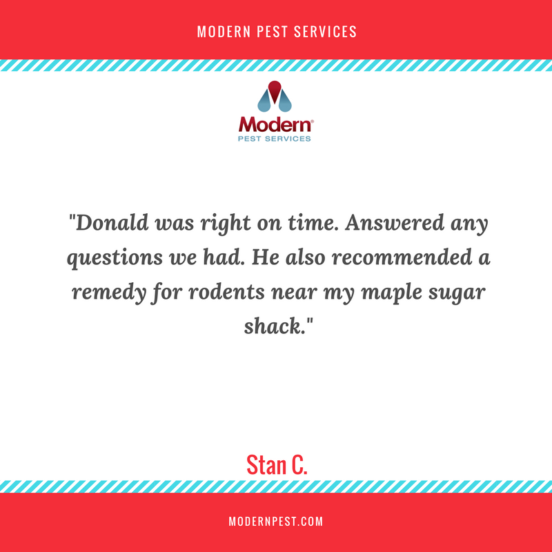 modernpest100's tweet photo. Thanks for the great review, Stan! Glad we could help out with your pest issue and keep that yummy maple sugar shack rodent free! See what others are saying here: https://t.co/PCj2pG3B43 https://t.co/kS407ixZsv