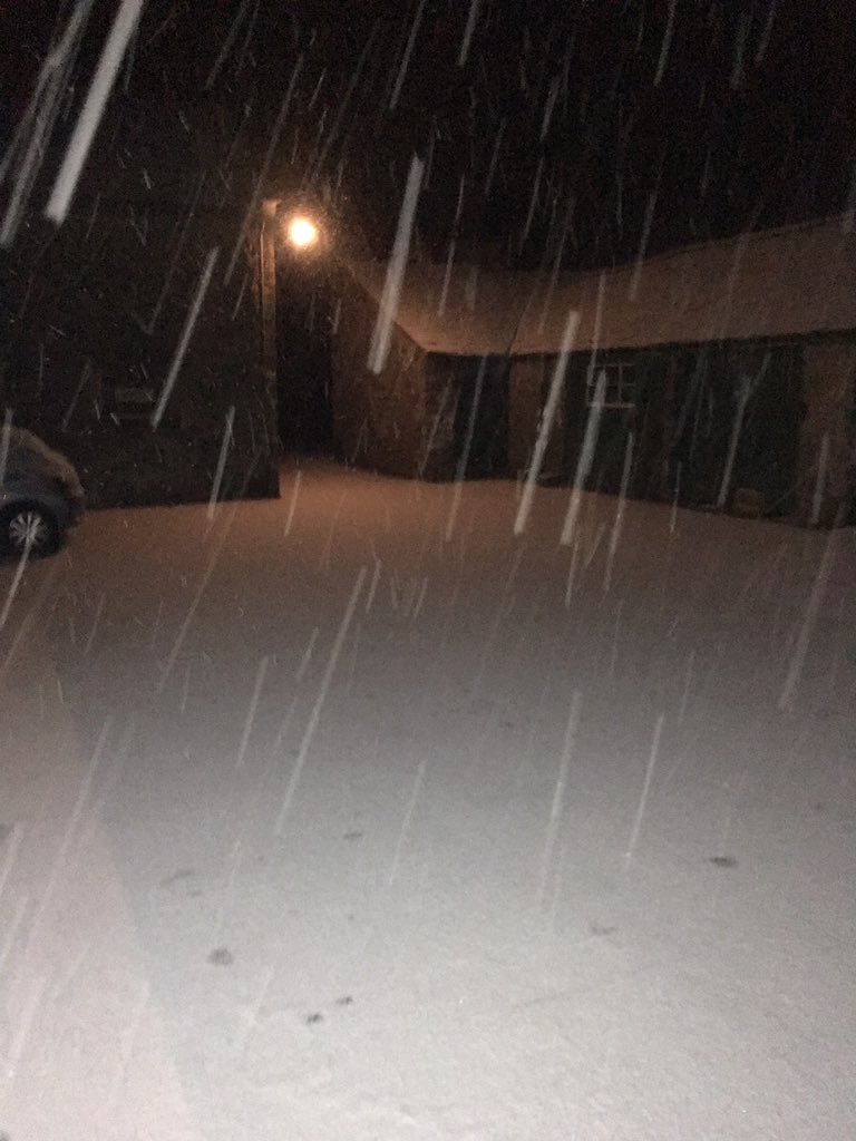 Udderley Good tweet media