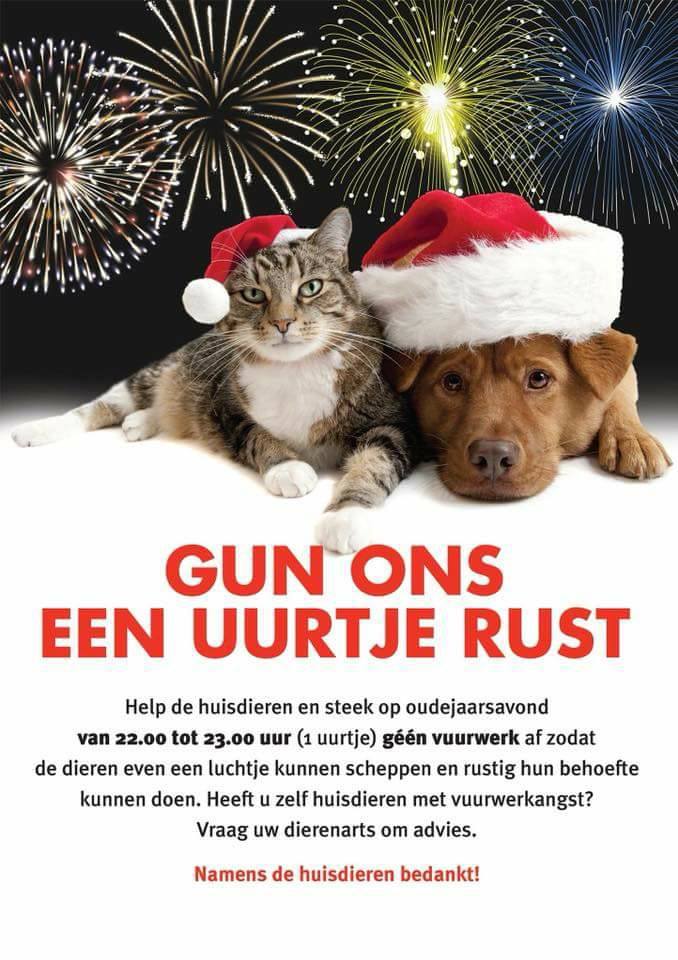 Afbeeldingsresultaat voor vuurwerk dieren plassen