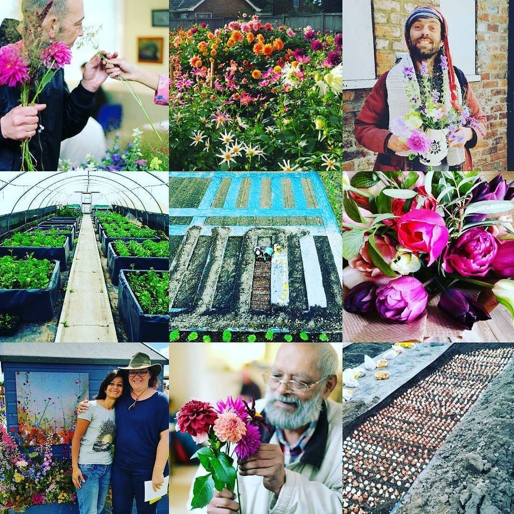 Flower Power York has officially only existed since April this year.....and what a journey we've had so far!!! Working on polytunnel and no-dig dahlia beds even before we incorporated as a not-for-profit Community Interest Company, we've had our work cut… ift.tt/2pVNmbv