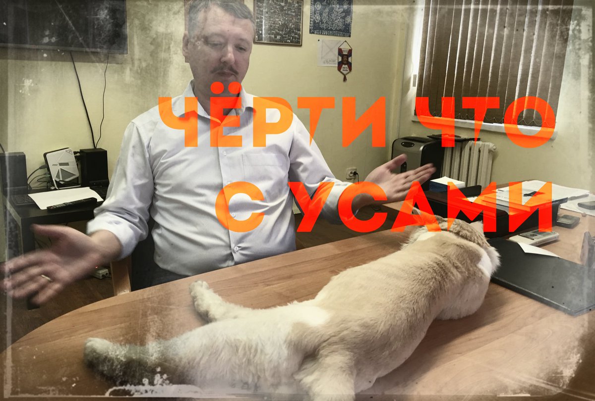 Стрелков вышел из ПДС НПСР
saboy.ru/94018