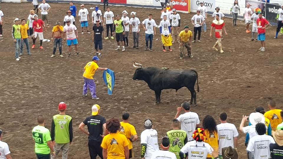 torosrepretel's tweet photo. #TorosRepretel seguimos disfrutando de una gran corrida https://t.co/rJhGZM7nYc