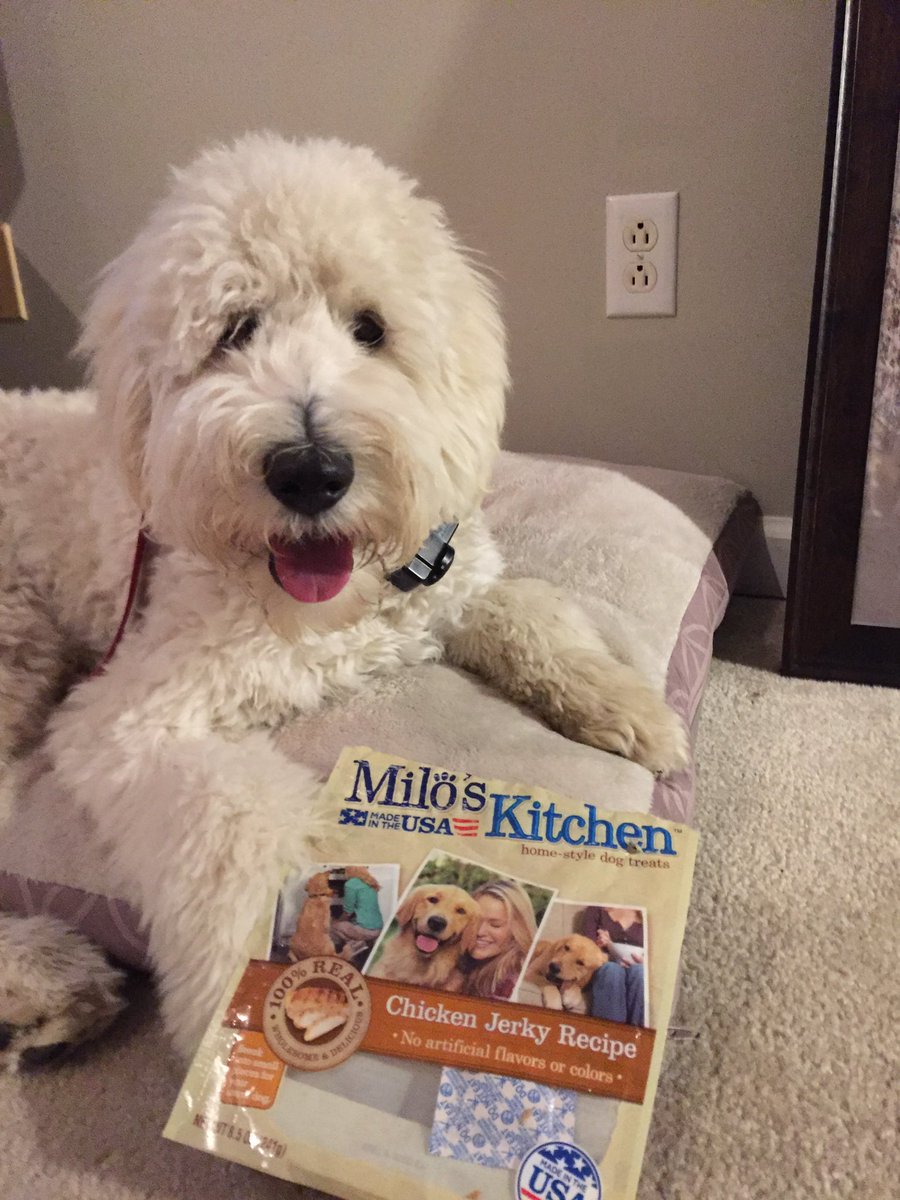 Trudi_Johnson's tweet image. Bear loved these @MilosKitchen treats so much he got the bag out of the trash after he ate the last one ❤️
