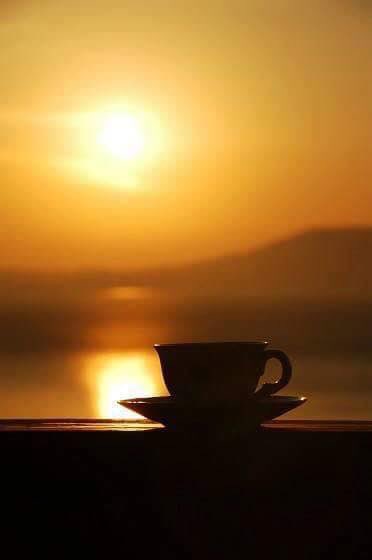 CoffeeVets tweet media