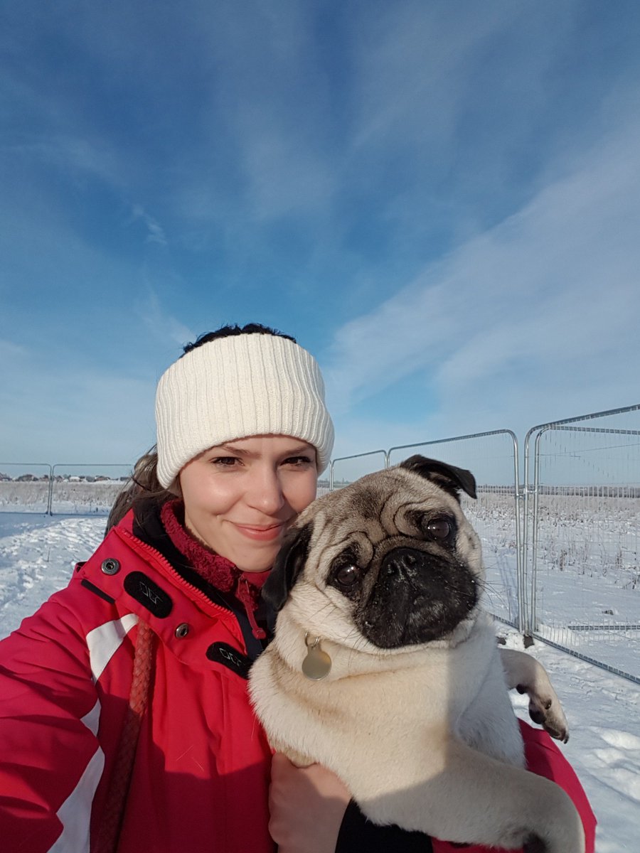 PamperedPawsCo's tweet photo. Love taking photo's with my dogs! https://t.co/kbUsStTQQ8