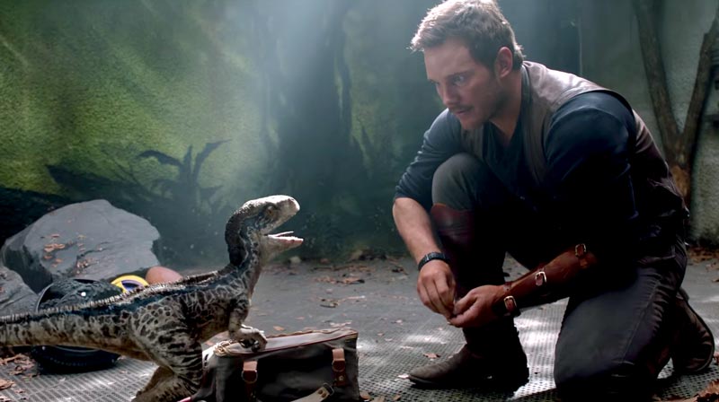 Filhotinha mais linda <a href="/BlueRaptorSquad/">Blue</a>